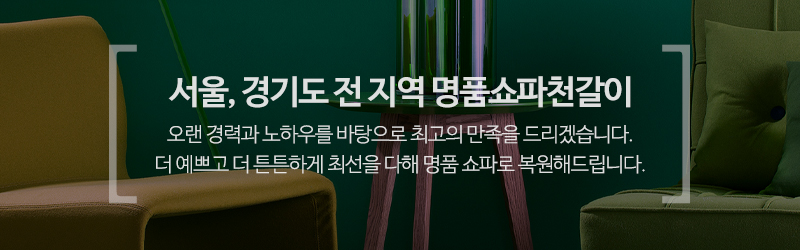 지너스쇼파_메인문구_내용