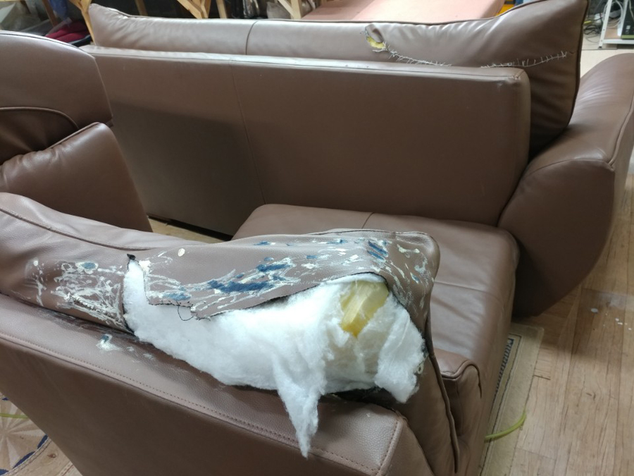 /user/j/jenassofa/editor/2211/7464da8902bb381b54ba5a8331821e72_1669308702_9383.jpg 이미지크게보기