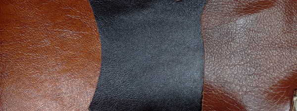 thumbfeea22e41d2c041bc2c6fb45c68615ba_1669649669_7763.jpg